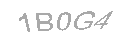 Güvenlik Kodu