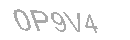 Güvenlik Kodu