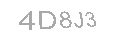 Güvenlik Kodu