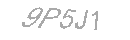 Güvenlik Kodu
